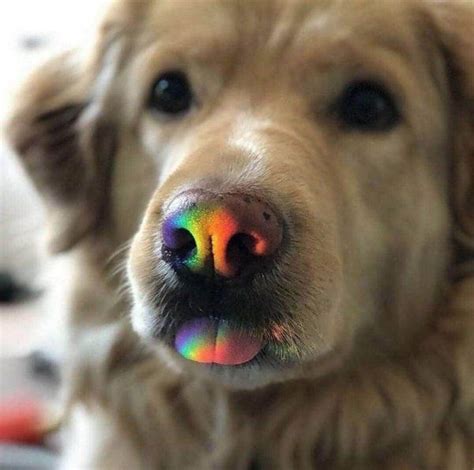 39 Pics and Gifs that are Just Plain Satisfying.